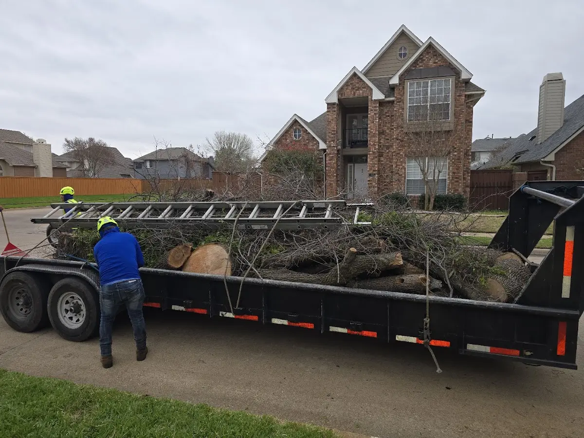Expert Lot Clearing with proper safety equipment in Morral